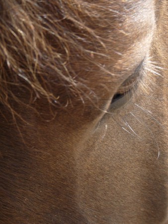 Elle est trop chou !!! Mais ma sister m'a dit qu'elle était morte...R.I.P. Quezac 